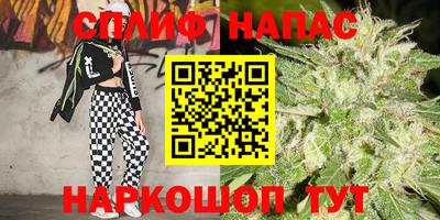 тгк Новокубанск