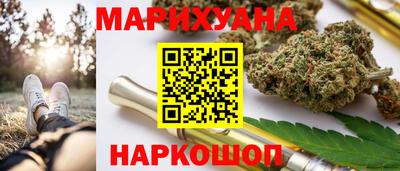 шишки Новодвинск