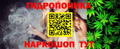 шишки Новодвинск