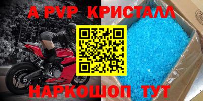 шишки Новодвинск